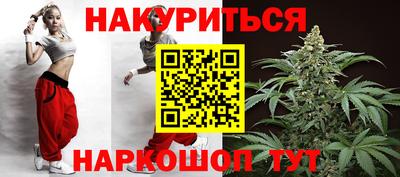 индика Пенза