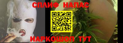 индика Пенза