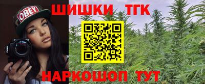 индика Пенза