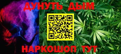 индика Пенза