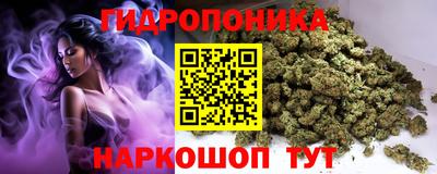 индика Пенза
