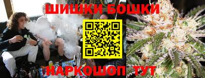 индика Пенза
